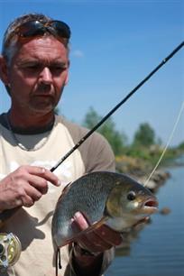 Vliegvissen - Voorjaarswinde? Vliegen binden