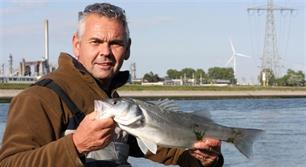 Vliegvissen - zomertoppers