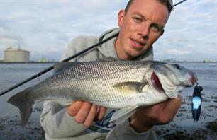 Vuurdoop - GT-Bio lepels