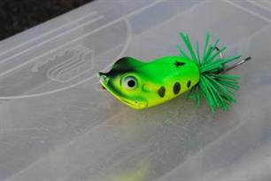 Vuurdoop - Thai Tackle frog