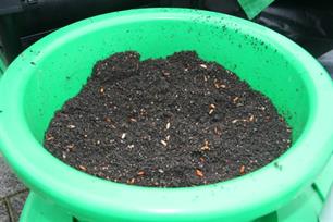 Vuurdoop: witvis op zwart