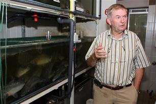 Wageningen koploper in viskweek