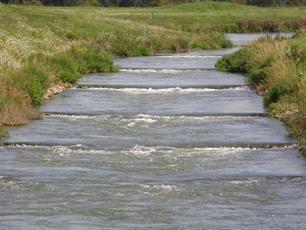 Waterschap legt vispassages aan in Molenbeek