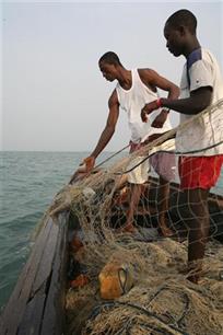 Wereldwijde export van overbevissing