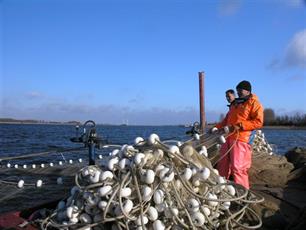 Werken aan de visstand : Stand van zaken visserijbeheer op de Rijkswateren