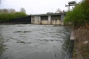 Witte steenkool met een rood randje : Sportvisserij wil garantie voor visgeleiding bij waterkrachtcentrales