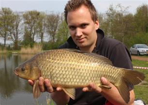 Witvissen: 'cruisende' kruiskarpers op de methodfeeder