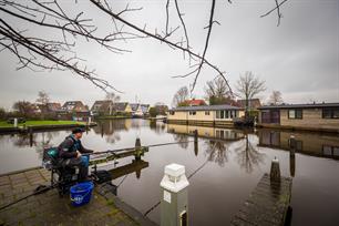 Witvissen: Fryske wintervoorns