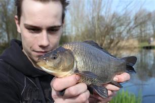 Witvissen - met softies op karpertjes