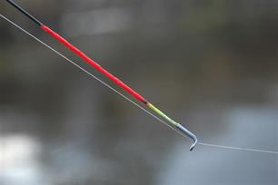 Witvissen - Swingen met Ed Stoop