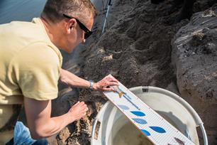 Witvissen: vissen voor de wetenschap