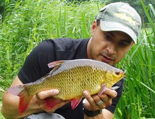 Witvissen - Vlokvissen op ruisvoorn