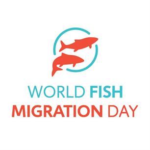 World Fish Migration Day: zaterdag 25 mei
