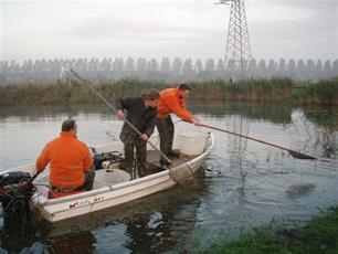 www.piscaria.nl : Landelijke visgegevens eenvoudig opvraagbaar