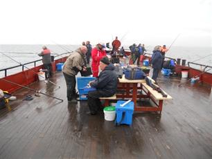 Zeer goede vangsten tijdens 1e selectie Boot 2014 vanuit Scheveningen 
