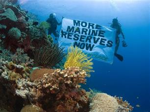 Zeereservaten moeten de wereldzee&#235;n redden