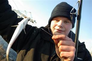 Zeevissen - 4 jonge vissers over hun geheimen en dromen