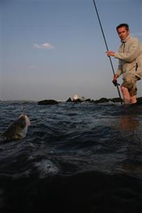 Zeevissen - Actief dobbervissen met de match en feeder