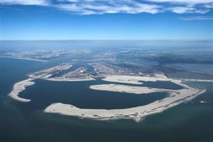 Zeevissen: de beste kuststekken van Zuid-Holland