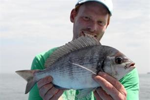 Zeevissen - dorades in de Noordzee