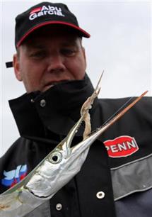 Zeevissen - Gek op geep