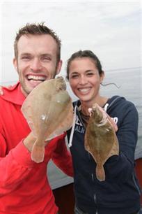 Zeevissen - Low budget zeevissen