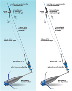 Zeevissen: onderlijnen in focus