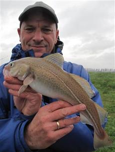 Zeevissen: 'r' in de maand = wijting!