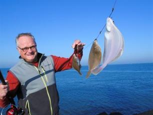 Zeevissen: Scharrenbal!