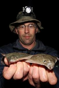 Zeevissen - Schemerbot