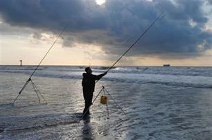 Zeevissen - strandfeederen op zeebaars