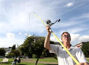 Zeevissen: tong, gul en wijting in de stad