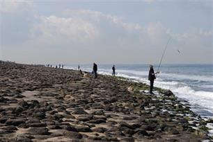 Zeevissen - Top 10 Zeeuwse kuststekken