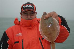 Zeevissen - Uptide bootvissen op de Oosterschelde