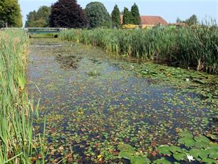 Zie ginds komt de maaiboot