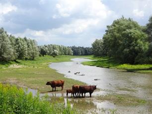 Zorgen om nevengeulen